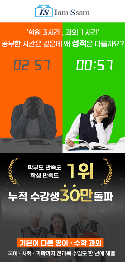 메인